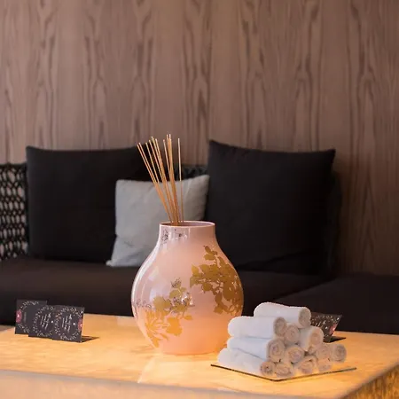 Maritim Plaza 호텔