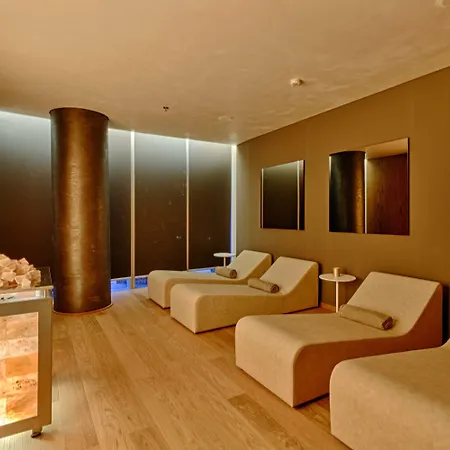 Maritim Plaza 호텔