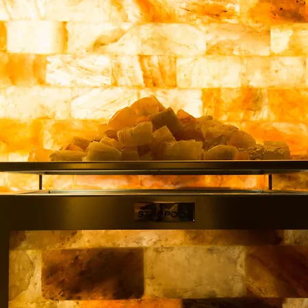 호텔 Maritim Plaza