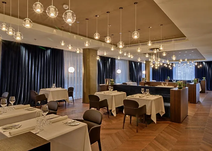 Maritim Plaza מלון
